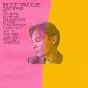 Brewis David - Soft Struggle i gruppen CD / Pop hos Bengans Skivbutik AB (4204907)