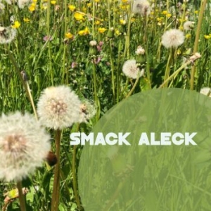 Smack Aleck - Unavoidable i gruppen CD / Jazz/Blues hos Bengans Skivbutik AB (4208155)