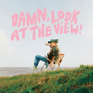 Brown Martin Luke - Damn, Look At The View! -Coloured- i gruppen VINYL / Pop-Rock hos Bengans Skivbutik AB (4231888)