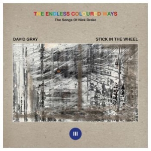 David Gray / Stick In The Wheel - The Endless Coloured Ways: The Song i gruppen VINYL / Rock hos Bengans Skivbutik AB (4233615)