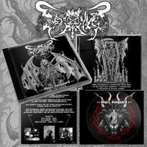 Demonized - Abyss Vanguard i gruppen CD / Hårdrock/ Heavy metal hos Bengans Skivbutik AB (4258649)