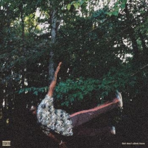Watson Chester - Fish Don't Climb Trees (Indie Exclu i gruppen VINYL / Hip Hop-Rap hos Bengans Skivbutik AB (4289040)