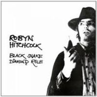 Hitchcock Robyn - Black Snake Diamond Role i gruppen CD / Pop-Rock hos Bengans Skivbutik AB (4293532)