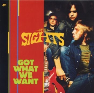 Sights - Got What We Want i gruppen VINYL / Pop-Rock hos Bengans Skivbutik AB (4295933)