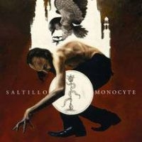 Saltillo - Monocyte: The Lapis Coil i gruppen VINYL / Pop-Rock hos Bengans Skivbutik AB (493128)