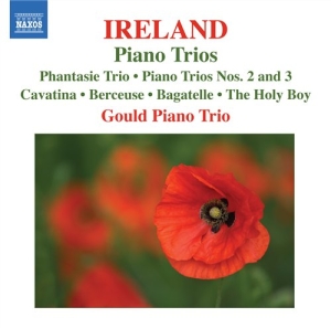 Ireland - Piano Trios i gruppen Externt_Lager / Naxoslager hos Bengans Skivbutik AB (512596)