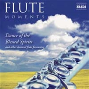Various - Flute Moments i gruppen ÖVRIGT / cdonuppdat / CDON Jazz klassiskt NX hos Bengans Skivbutik AB (514361)
