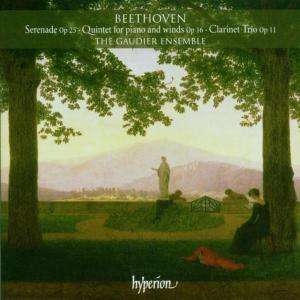 Beethoven - Serenade Op 25/Quintet For Pia i gruppen Externt_Lager / Naxoslager hos Bengans Skivbutik AB (522388)