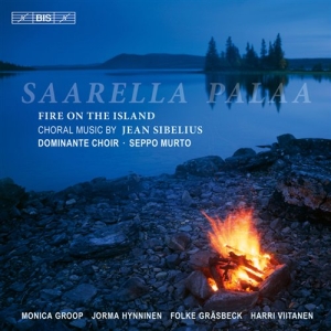 Sibelius - Fire On The Island i gruppen Externt_Lager / Naxoslager hos Bengans Skivbutik AB (526648)