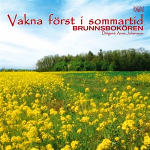 Brunnsbokören - Vakna Först I Sommartid i gruppen CD / Elektroniskt,Svensk Folkmusik hos Bengans Skivbutik AB (549233)