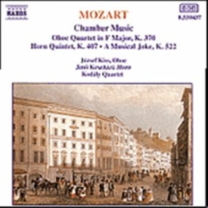 Mozart Wolfgang Amadeus - Chamber Music i gruppen CD / Klassiskt hos Bengans Skivbutik AB (5503215)