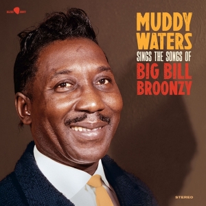 Waters Muddy - Sings Big Bill i gruppen VINYL / Blues hos Bengans Skivbutik AB (5506944)