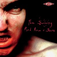 Pig Keith Leblanc Kmfdm - The Swining / Red Raw & Sore i gruppen CD / Pop-Rock hos Bengans Skivbutik AB (5507526)