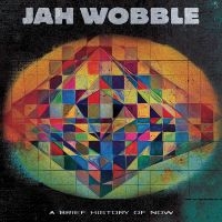 Jah Wobble Jon Klein - A Brief History Of Now i gruppen VINYL / Pop-Rock hos Bengans Skivbutik AB (5507545)