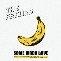 The Feelies - Some Kinda Love: Performing The Mus i gruppen CD / Pop-Rock hos Bengans Skivbutik AB (5507823)