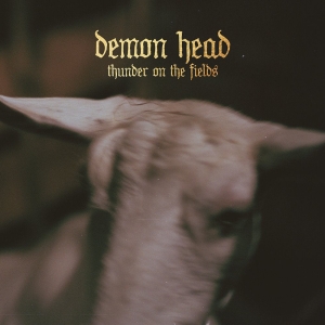 Demon Head - Thunder On The Fields Lp Gold i gruppen VI TIPSAR / Startsida Vinylkampanj hos Bengans Skivbutik AB (5515229)