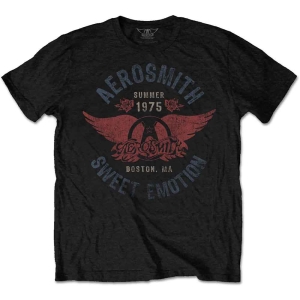Aerosmith - Sweet Emotion Uni Bl    i gruppen MERCH / T-Shirt / Rockoff_Nya April24 hos Bengans Skivbutik AB (5525785r)