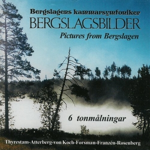 Bergslagens Kammarsymfoniker - Bergslagsbilder i gruppen Externt_Lager / Naxoslager hos Bengans Skivbutik AB (556293)