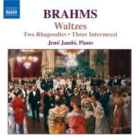 Brahms: Jando - Waltzes, Op.39 i gruppen Externt_Lager / Naxoslager hos Bengans Skivbutik AB (646183)