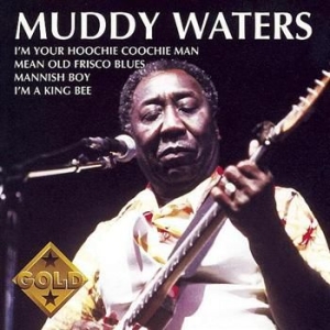 Waters Muddy - Muddy Waters Gold i gruppen CD / Blues,Jazz hos Bengans Skivbutik AB (655881)