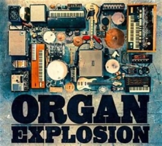 Blandade Artister - Organ Explosion