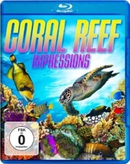 Coral Reef - Impressions - Spcial Interest i gruppen MUSIK / Musik Blu-Ray / Övrigt hos Bengans Skivbutik AB (1810391)