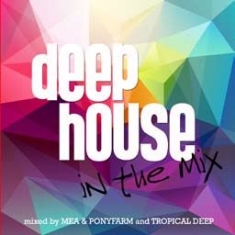 Various Artists - Deep House In The Mix i gruppen CD / Dance-Techno,Pop-Rock hos Bengans Skivbutik AB (1916574)