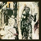 Marvin Gaye - Jere My Dear (2Lp) i gruppen VINYL / Pop-Rock,RnB-Soul hos Bengans Skivbutik AB (1927425)