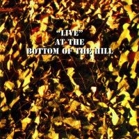Blandade Artister - Live At The Bottom Of The Hill i gruppen CD / Rock hos Bengans Skivbutik AB (2249782)
