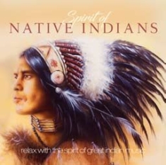 Blandade Artister - Spirits Of Native Indians i gruppen CD / Worldmusic/ Folkmusik hos Bengans Skivbutik AB (2510398)