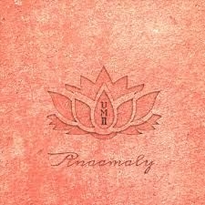 Anaamaly - Urban Metta Vol 2 i gruppen CD / Kommande / Rock hos Bengans Skivbutik AB (3034522)