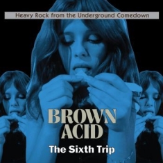 Various Artists - Brown Acid - The Sixth Trip