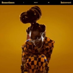 Little Simz - Sometimes I Might Be Introvert (Clear Vi