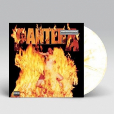 Pantera - Reinventing The Steel (MARBLED YELLOW VI