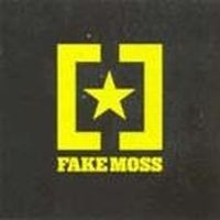 Fake Moss - Shes Smashing The Room Again i gruppen CD / Pop-Rock hos Bengans Skivbutik AB (516816)