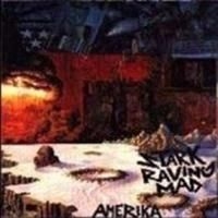 Stark Raving Mad - America i gruppen CD / Rock hos Bengans Skivbutik AB (663705)