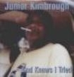 Kimbrough Junior - God Knows I Tried i gruppen VINYL / Jazz/Blues hos Bengans Skivbutik AB (944228)