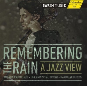 Various Composers - Remembering The Rain - A Jazz View i gruppen Externt_Lager / Naxoslager hos Bengans Skivbutik AB (1313571)