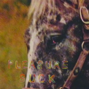 Spirit Of The Beehive - Pleasure Suck i gruppen CD / Rock hos Bengans Skivbutik AB (2404630)