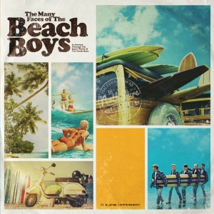 Beach Boys The - The Many Faces Of The Beach Boys i gruppen VINYL / Pop-Rock,Övrigt hos Bengans Skivbutik AB (4049608)