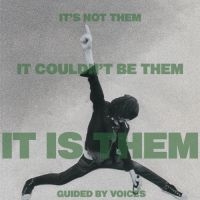 Guided By Voices - It's Not Them It Couldn't Be Them I i gruppen CD / Pop-Rock hos Bengans Skivbutik AB (4054236)