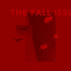Post Pines - The Fall Issue i gruppen Pop hos Bengans Skivbutik AB (4055381)