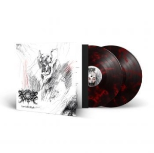 Xasthur - Inevitably Dark (2 Lp Marbled Vinyl i gruppen VINYL / Hårdrock/ Heavy metal hos Bengans Skivbutik AB (4246447)