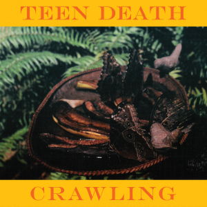 Teen Death - Crawling & More i gruppen Rock hos Bengans Skivbutik AB (4296470)