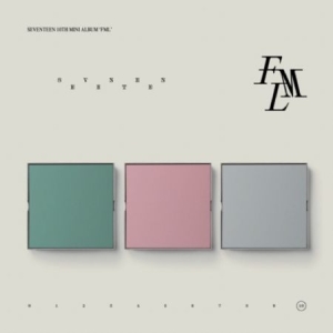 Seventeen - 10th Mini Album (FML) C VER. i gruppen ÖVRIGT / K-Pop Kampanj 15 procent hos Bengans Skivbutik AB (4345472)