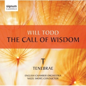 Todd - The Call Of Wisdom i gruppen Externt_Lager / Naxoslager hos Bengans Skivbutik AB (519792)