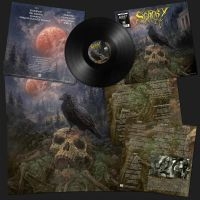 Sentry - Sentry (Vinyl Lp) i gruppen VI TIPSAR / Fredagsreleaser / Fredag Den 1:a Mars 2024 hos Bengans Skivbutik AB (5516387)