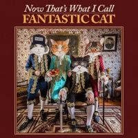 Fantastic Cat - Now That's What I Call Fantastic Ca i gruppen CD / Kommande / Pop-Rock hos Bengans Skivbutik AB (5540189)