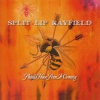 Split Lip Rayfield - Should Have Seen It Coming i gruppen CD / Pop-Rock hos Bengans Skivbutik AB (650245)
