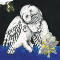 SONGS: OHIA - THE MAGNOLIA ELECTRIC CO (2LP DELUX